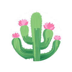 Green desert cactus plant blooming with vibrant pink flowers stylized illustration