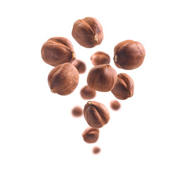 Peeled hazelnut levitates on a white background