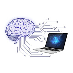 Brain circuit online learning