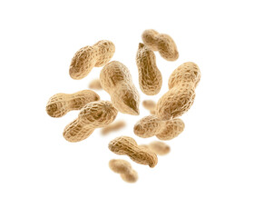 Peanuts in the shell levitate on a white background