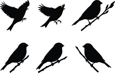 Collection of bird silhouette vector illustrations with perched and flying songbirds on branches, black shapes for wildlife and nature artwork.
