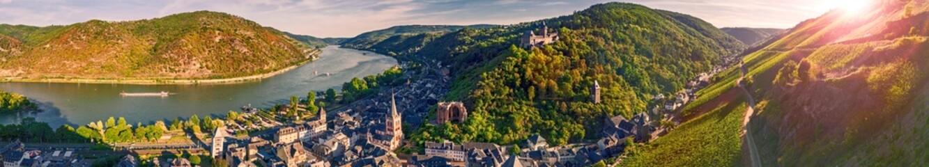 Sunset hour amidst vineyards in harvest time at Bacharach on the Rhine (Bacharach am Rhein), Rhineland-Palatinate, Germany