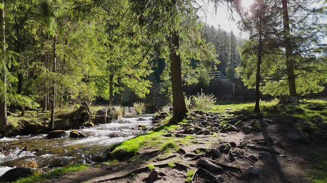 A mountain river or stream of cool, clear, pure water flows among rocks and mountains in the mountains among grassy meadows and trees.