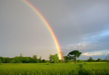 Naklejka premium Vibrant Rainbow Arching Over Lush Green Field After Rain.