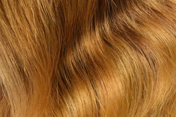 body wavy black to brown to blonde three tone ombre style human hair weaves extensions lace wigs
