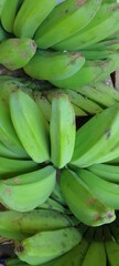 Bunch of green bananas