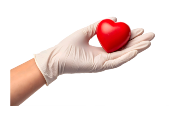 Hand in white glove holding a red heart isolated on transparent background