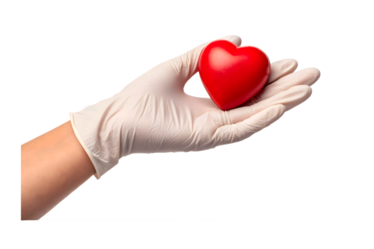 Hand in white glove holding a red heart isolated on transparent background