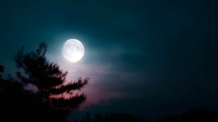 Full moon illuminating a silhouetted tree against a dark hazy night sky with twilight colors
