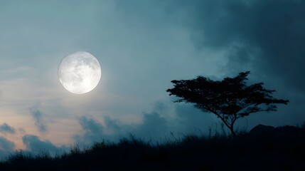 A lone tree silhouette against the luminous full moon in a dramatic cloudy night sky