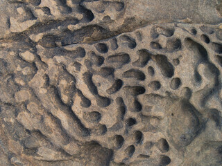 Textural Patterns in Sandstone Rock - Intricate close-up of eroded sandstone, showcasing the unique, natural texture and patterns created by weathering and time.