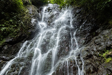 Obraz premium Beautiful mountain waterfall view from the bottom in Georgia