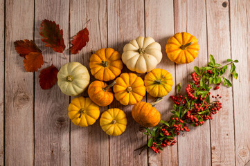 Autumn pumpkins frame background. Orange and white mini squashes, rustic style. Top view