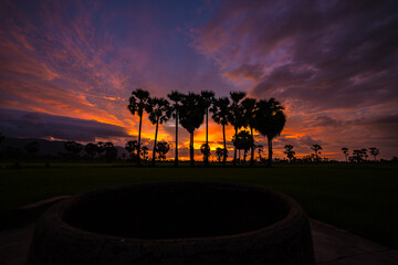 brilliant sunset on the flood season fields in An Giang.