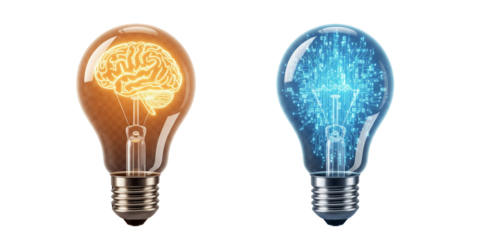  Brain Concept Bulb and Digital Data Bulb Isolated PNG.