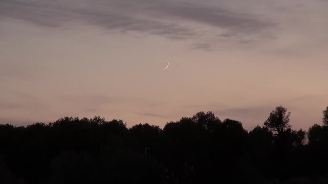Moon crescent sunset dusk twilight star sky night forest trees suburbs