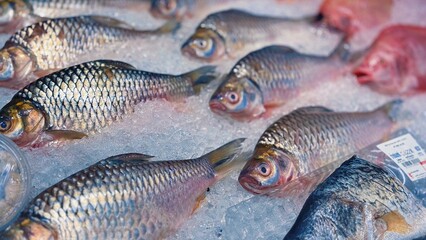 Fresh carp fish on ice, Supermarket freshwater fish counter