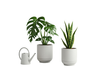Monstera, Calathea, Sansevieria houseplants in minimalist white pots with watering can on a transparent studio background, modern home decor concept