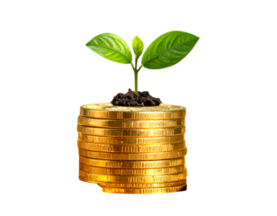Stacks of Golden Coins with Growing Green Plant, Isolated on Transparent Background