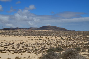 beautiful view of the nature reserve by the ocean