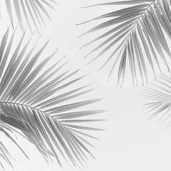 Obraz premium Palm leaves pattern in nature, background for presentations, wallpaper