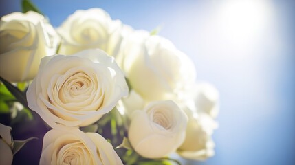 Fototapeta premium bouquet. Dreamy white rose bouquet softly focused against a blue sky, evoking serenity and natural beauty. gardening catalogs, home-decor guides, designed for home decor and floral branding.