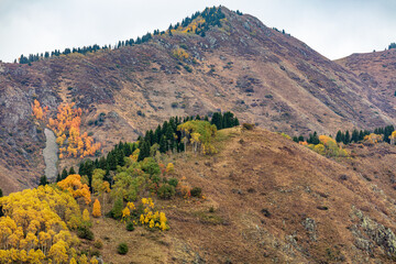 mountain landscape in autumn