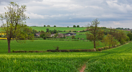  Leicestershire, United Kingdom, landscape in the summer of 2011.