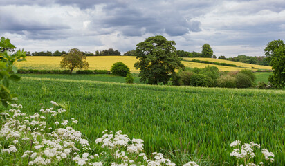  Leicestershire, United Kingdom, landscape in the summer of 2011.