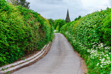 Narrow hedge-lined road leading up to The Parish Church of Saint Margaret of Antioch Blackfordby, United Kingdom.