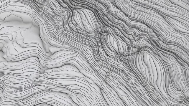 Abstract Topographic Lines Texture Background.