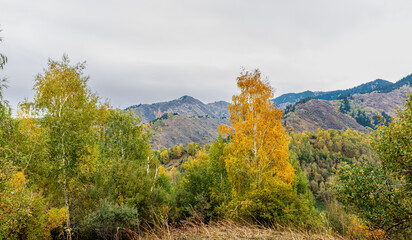 Obraz premium autumn landscape with mountains