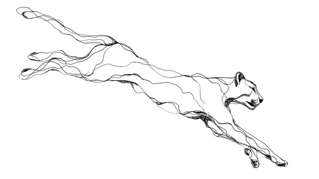 Hand drawn lineart of a cheetah jumping in motion, transparent background 