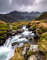 Mountain stream cascading
