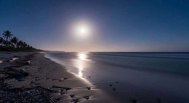 Peaceful Beach Moonlight Scene.