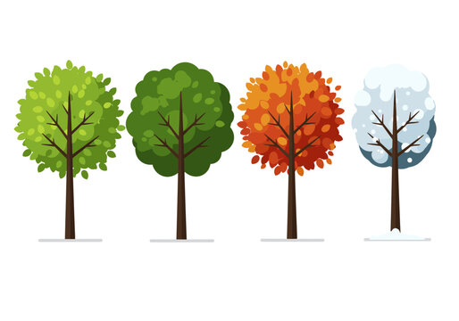 4 trees symbolize seasons green spring summer orange autumn snowcovered winter Uniform trunks white background