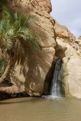 Oasis Waterfall in the Desert, Tunisia