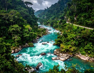 Lush river winding through dense jungle (1)