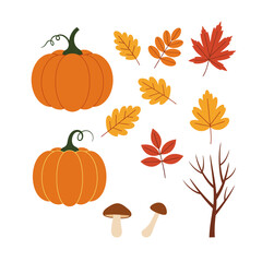 A collection of autumn-themed illustrations including pumpkins, colorful leaves, mushrooms, and a bare tree branch.
