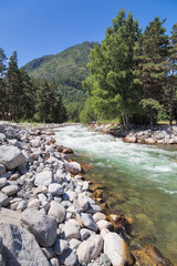 Creek in the Altai mountains, Russia.