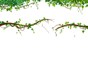 Jungle vines flowing on transparent backgroun 