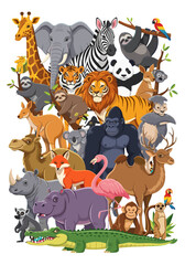 Naklejka premium wild animals group, jungle animals, safari animals, zoo animals, animal collection, exotic animals, woodland animals, animal friends, world animals, cute animals, animal kingdom, diverse animals, anim