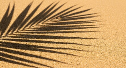 Shadow of a palm leaf on a sandy beach