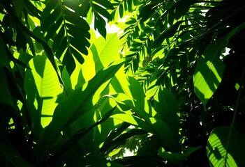 Obraz premium Lush green tropical leaves, vibrant sunlight dappled shadows, exotic, wallpaper