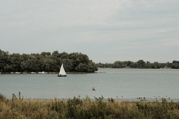 White sailboat gliding on the calm Danube River with green trees in Belgrade.