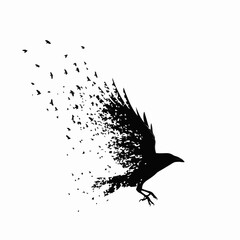 Flying crow or raven silhouette dissolving into a flock of smaller birds. Vector illustration for concepts of freedom, transformation, and the gothic. Isolated on a white background.