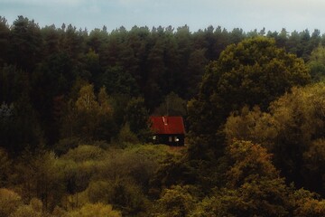 cabin in the woods