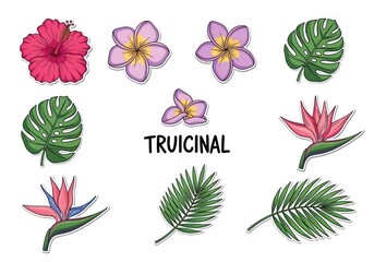 a set of illustrative style tropical floral design elements