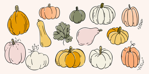 Sketched pumpkins and leaf in various colors on beige background