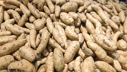 Cilembu sweet potato, Cilembu sweet potato, Ipomoea Batatas. Sweet potatoes have been popular in Indonesia since the 1990s.